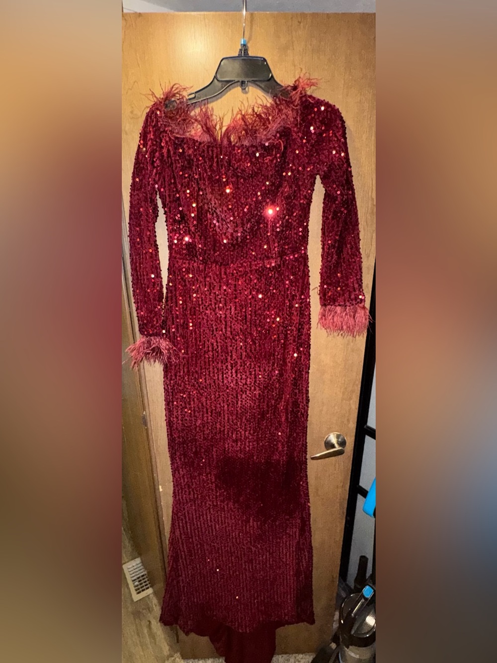 Glamorous Burgundy Sequin Long-Sleeve Feather-Trim Gown